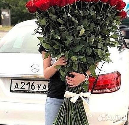 Розы Букеты Цветы Розы 31 101 151 201 Доставка