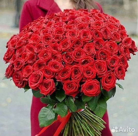 Розы Высокие 150см 160см 170см 180см 190см 2м