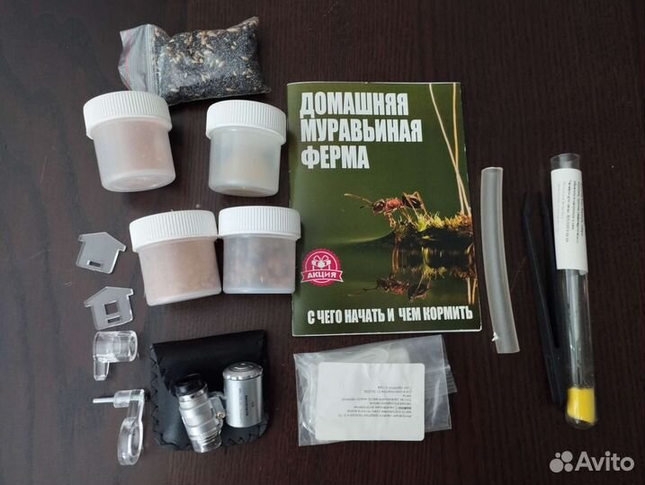 Муравьиная ферма с муравьями