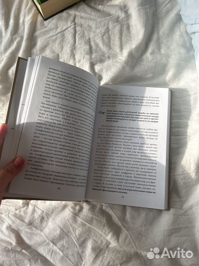 Очаровательный кишечник