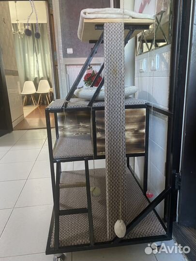 Когктеточка