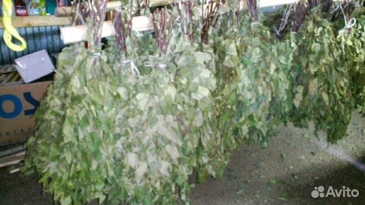 Веники Банные