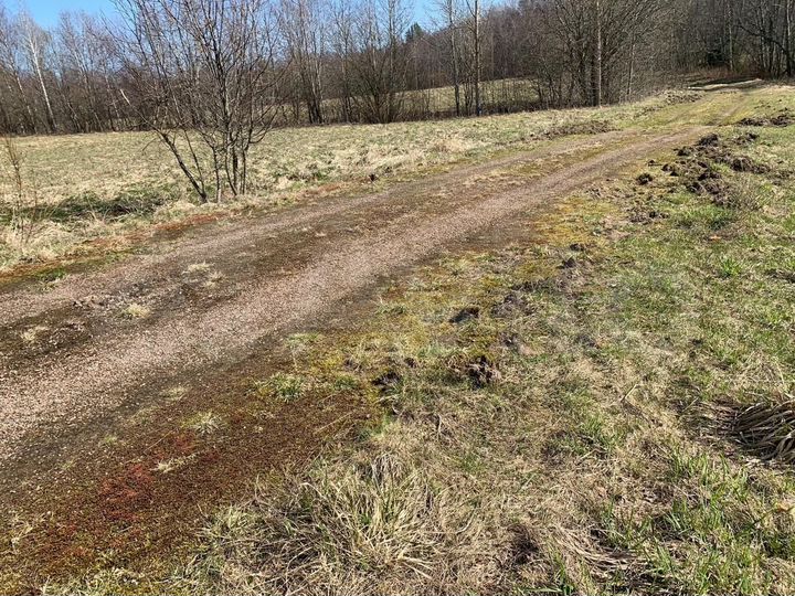 Участок 2,42 га (СНТ, ДНП)