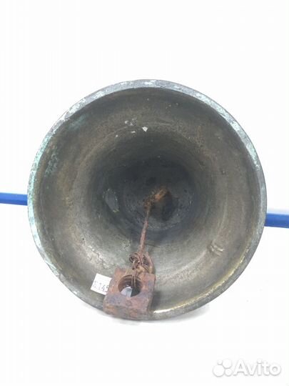 Поддужный колокольчик