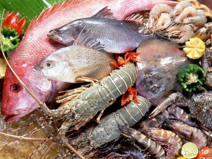 Готовый бизнес – магазин морепродуктов