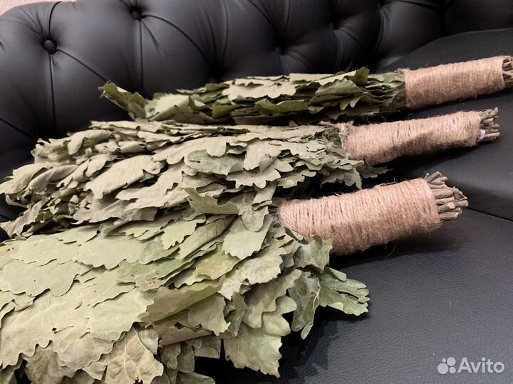 Дубовые Краснодарские веники. Сбор Июль 2023