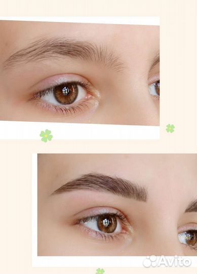 Архитектура бровей