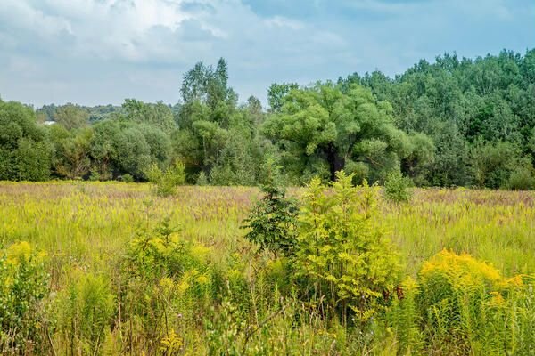 Участок 10,5 сот. (ИЖС)