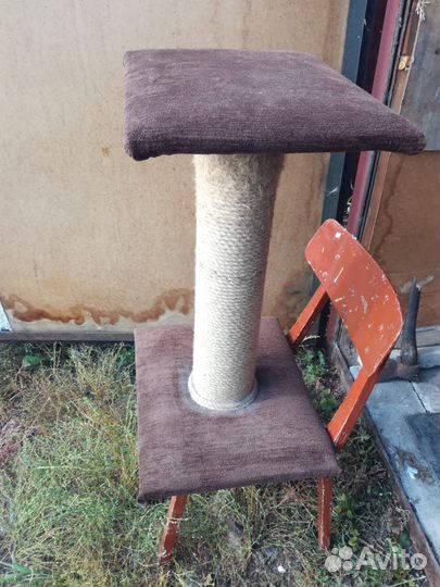 Когтеточка