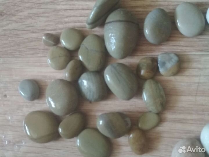 Морские камни и ракушки