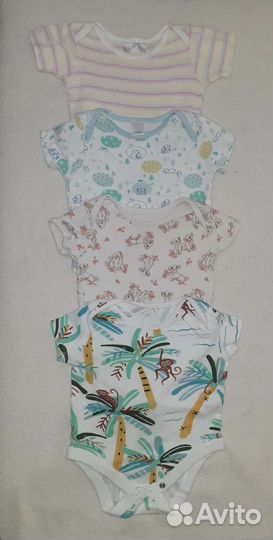 Бодики на 6 месяцев