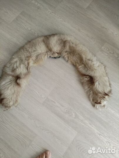 Меховой воротник песец