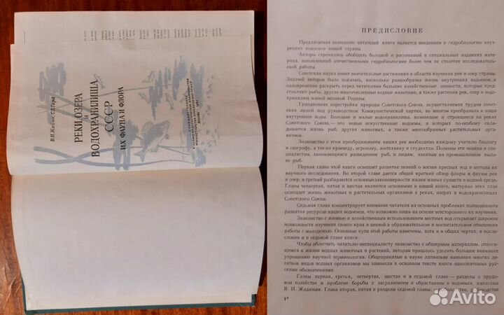 Реки Озера и Водохранилища СССР Их фауна и флора