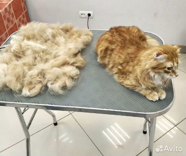 Груминг стрижка собак