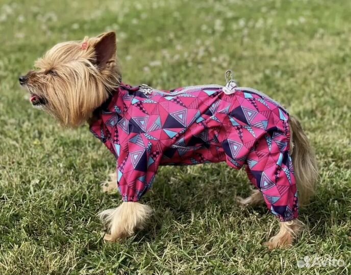 Комбинезон-дождевик для собаки
