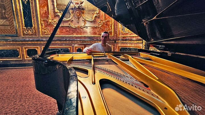 Настройка, ремонт, реставрация пианино/роялей