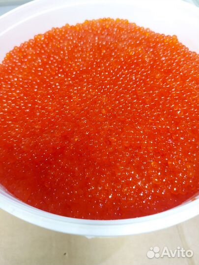 Икра форели