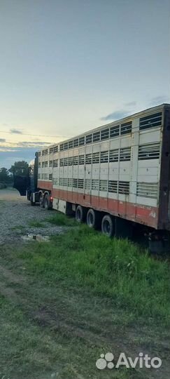 Грузовые перевозки межгород