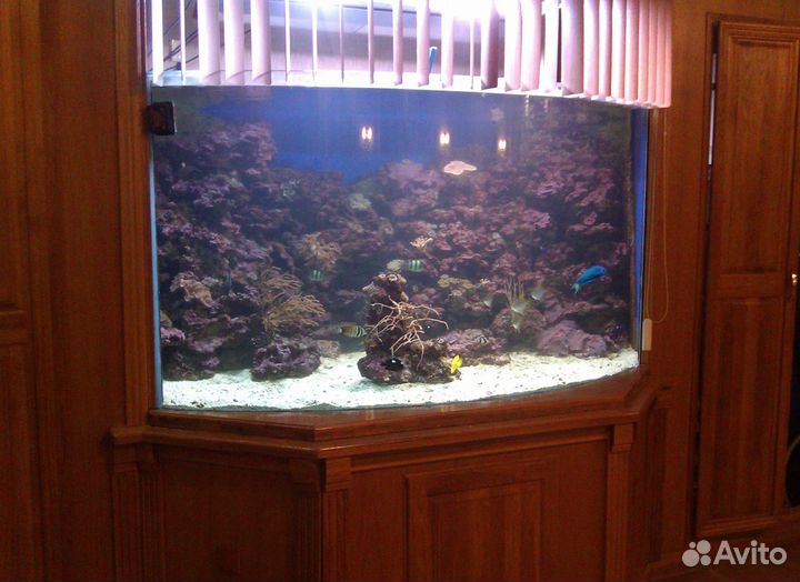 Обслуживание аквариумов