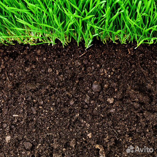 Земля черная