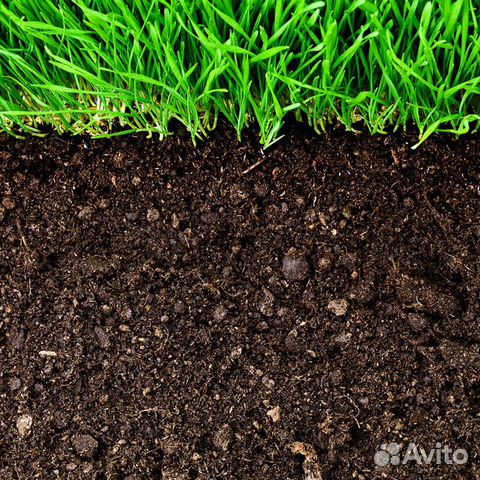 Земля черная