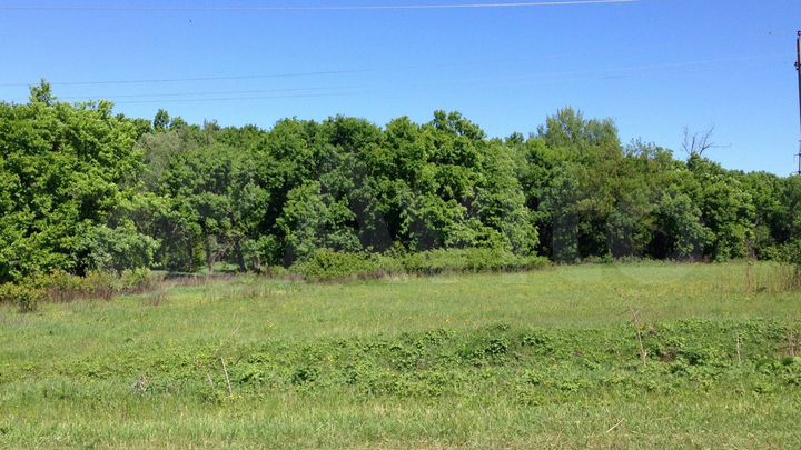 Участок 50 га (СНТ, ДНП)