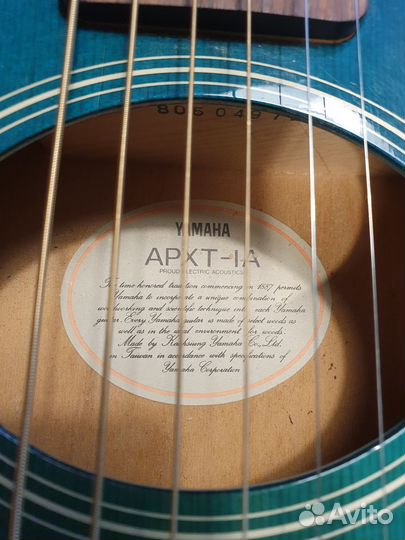 Travel Yamaha APX T1