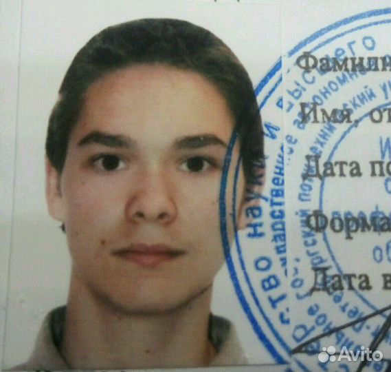 Программист, веб-дизайнер, видео монтаж