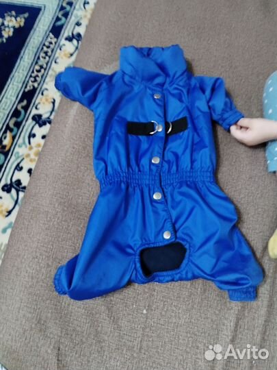 Комбинезон демисезонный на той терьера