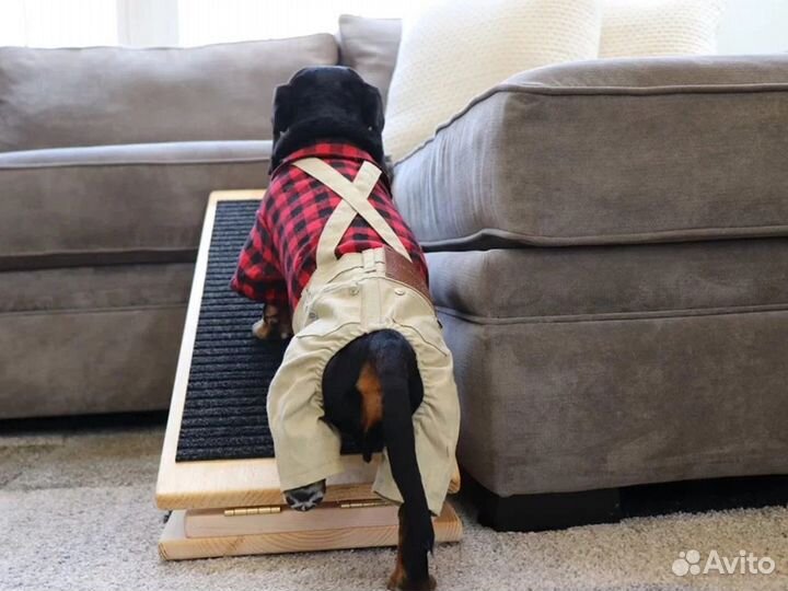 Лестница для собак