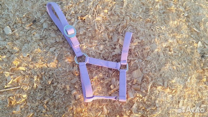 Конные вещи для всадника и лошади