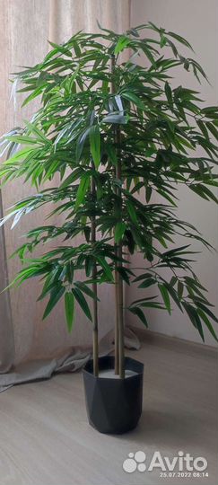 Бамбук искусственный