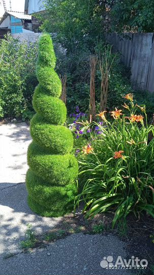 Фигуры для сада - топиарий