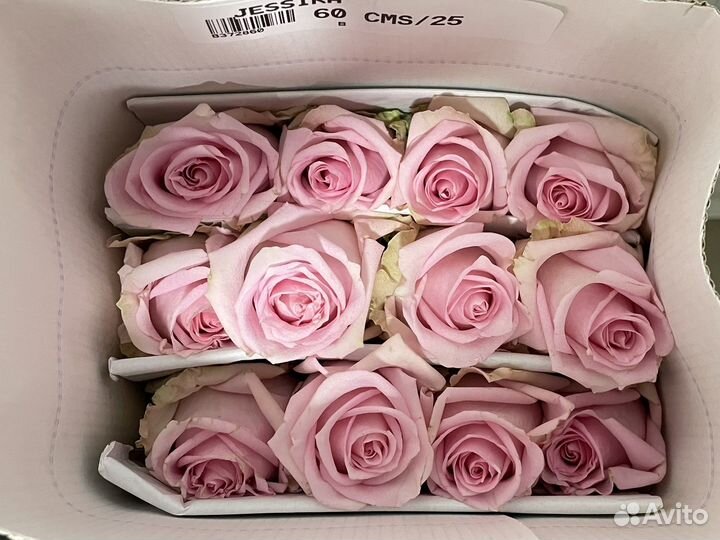 Пионовидные розы, цветы, букеты