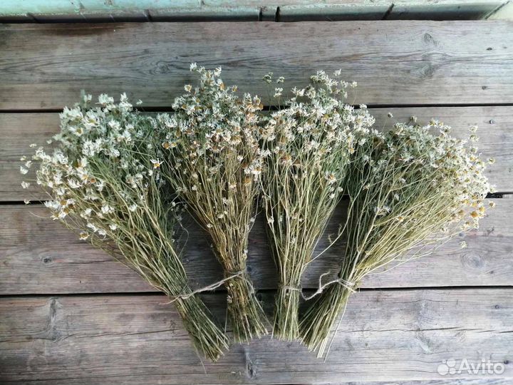 Веники и травы