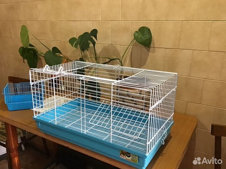 Большая клетка для крыс