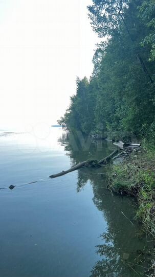 Участок 4,33 га (СНТ, ДНП)