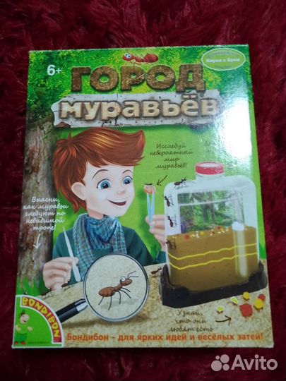 Муравьиная ферма новая