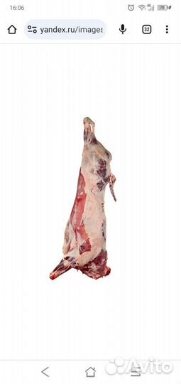 Мясо телятина