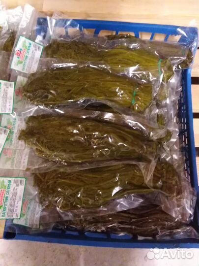 Продаем папоротник Орляк соленый