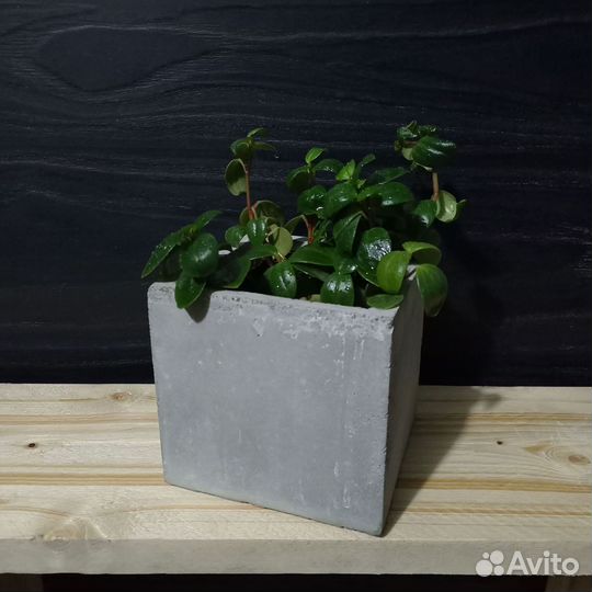 Горшки, Вазоны, Кашпо под заказ из бетона