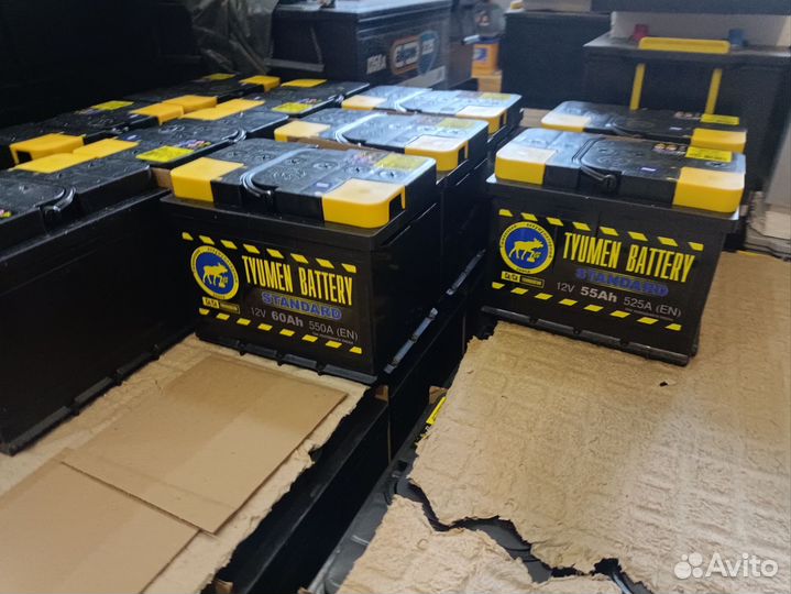 Тюменский акб лось от 40 до 230