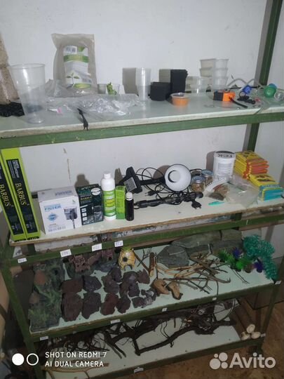 Аквариумные рыбки