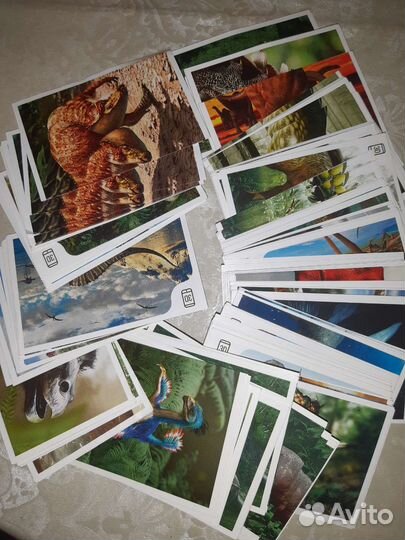 Наклейки динозавры