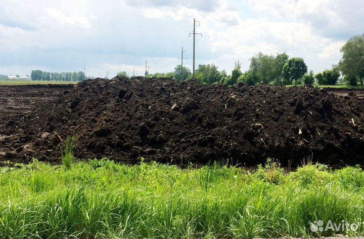 Перегной Навоз