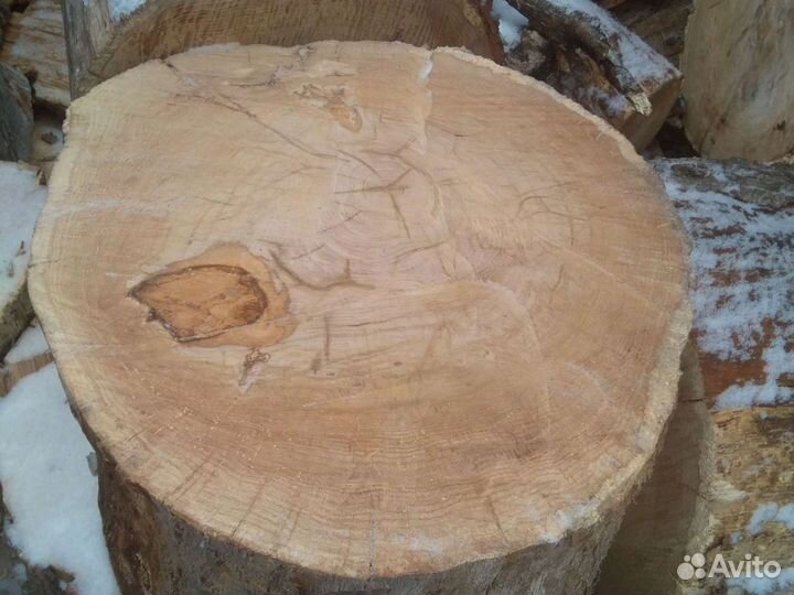 Спилы и пеньки