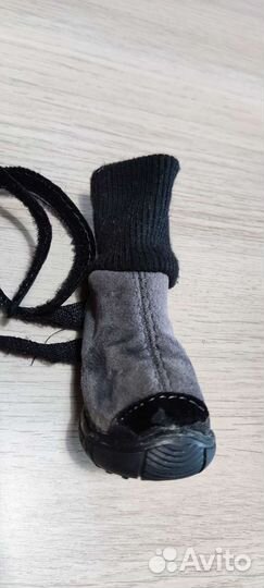 Обувь для собак