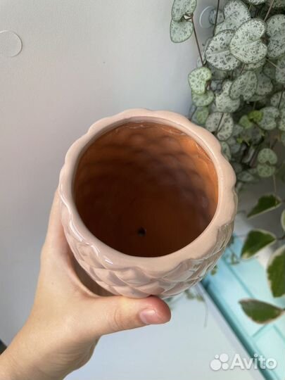 Горшок керамический и кашпо