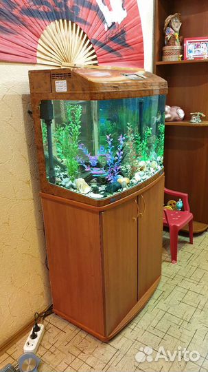 Аквариум с тумбой jebo