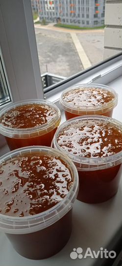 Мед Алтайский